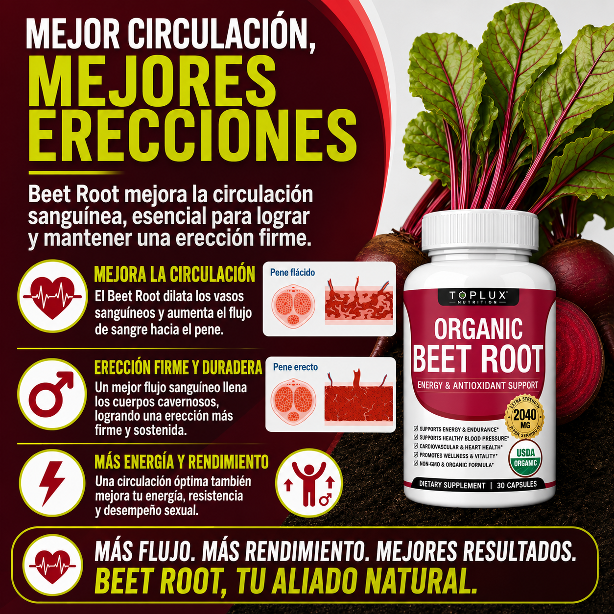 Organic Beet Root | 30 Cápsulas