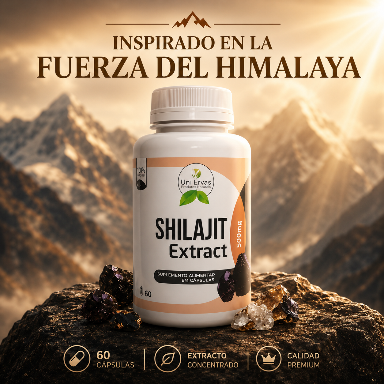 SHILAJIT - Recuperá tu mejor versión.